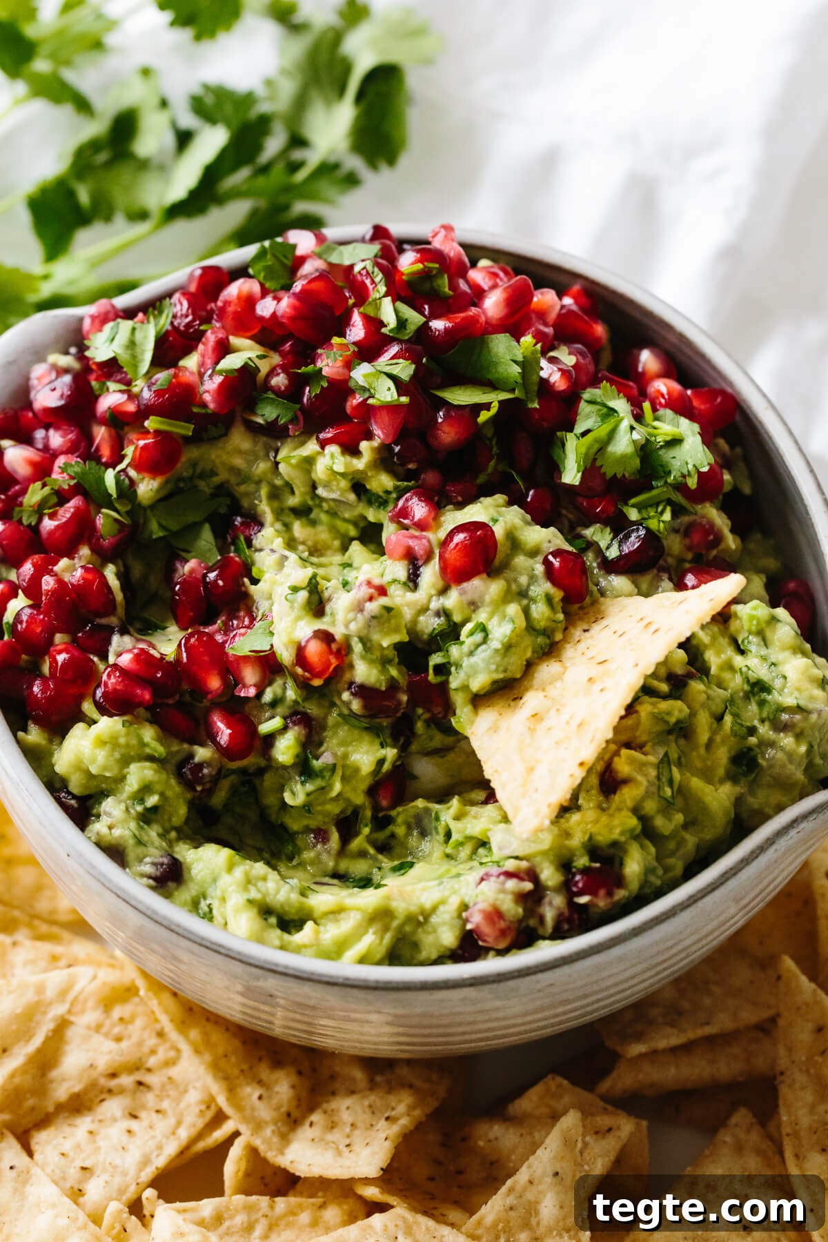 13 Festive Christmas Appetizers Your Guests Will Love 14 A tortilla chip scooping up pomegranate guacamole.