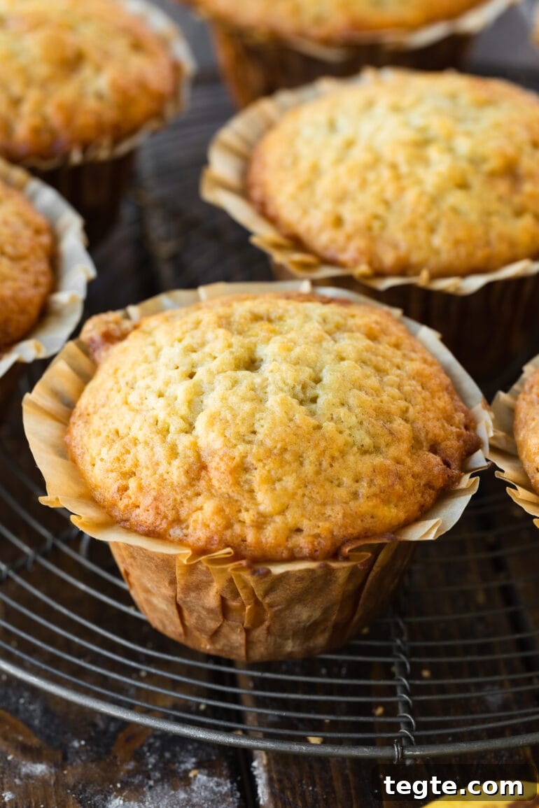 One-Bowl Banana Muffins with Moist, Quick Preparation 2 a photo of a baked golden banana muffin in a paper muffin wrapper.