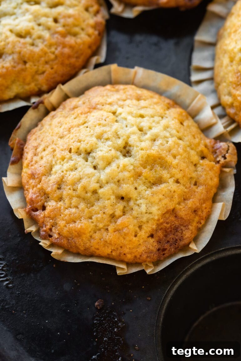 One-Bowl Banana Muffins with Moist, Quick Preparation 4 a photo take above a golden baked banana bread muffin.