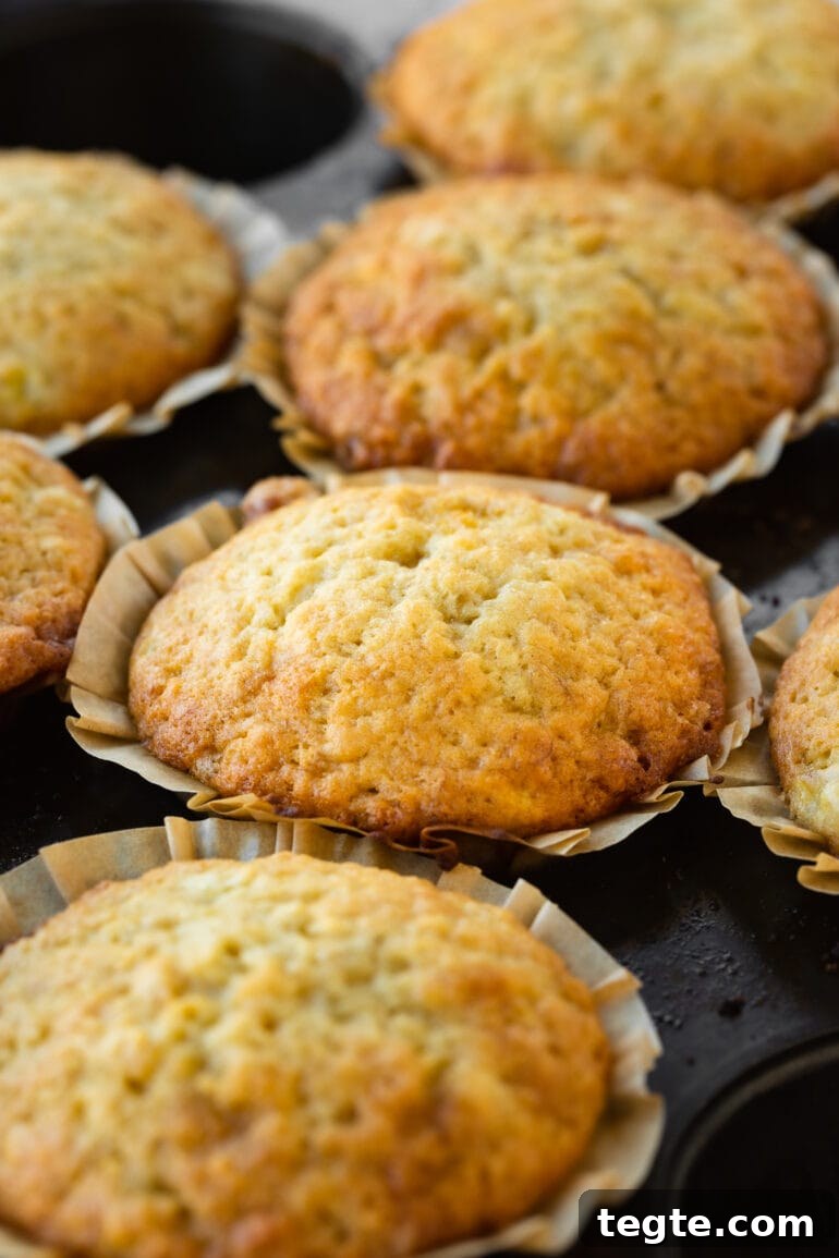 One-Bowl Banana Muffins with Moist, Quick Preparation 5 a photo of several golden brown baked banana muffins in neutral brown paper liners.