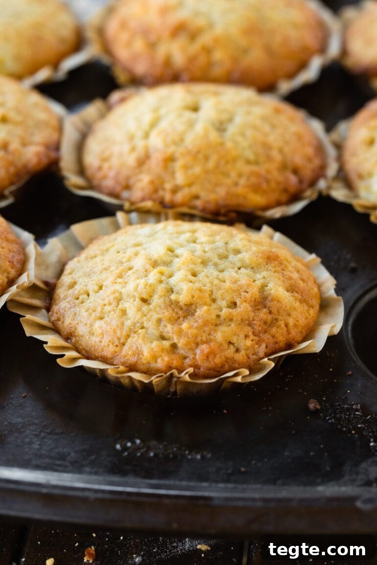 One-Bowl Banana Muffins with Moist, Quick Preparation 6 a photo of a golden baked banana muffin with the muffin liner slightly peeled off and several other muffins in the background.
