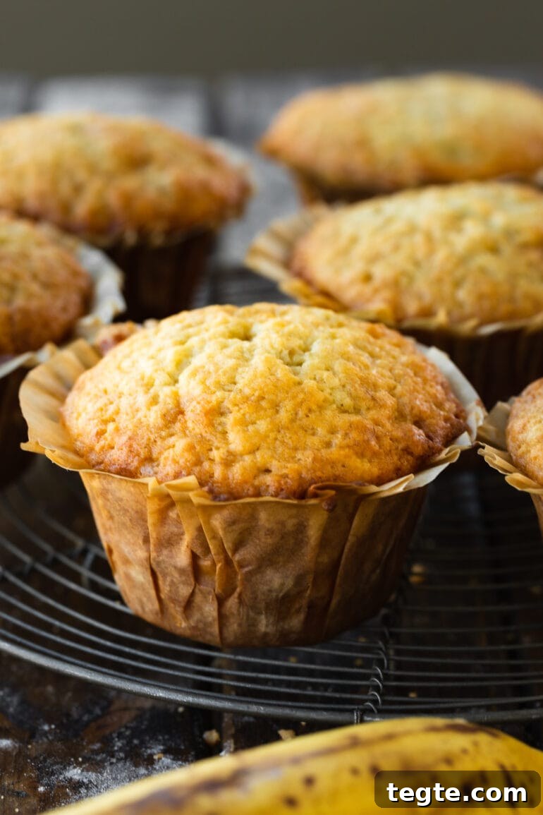 One-Bowl Banana Muffins with Moist, Quick Preparation 7 a photo of a baked banana muffin in a paper muffin liner.