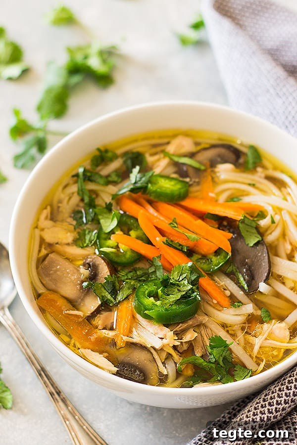 Slow Cooker Asian Chicken Noodle Soup Recipe for Comforting Meals 2 bowl with asian chicken soup