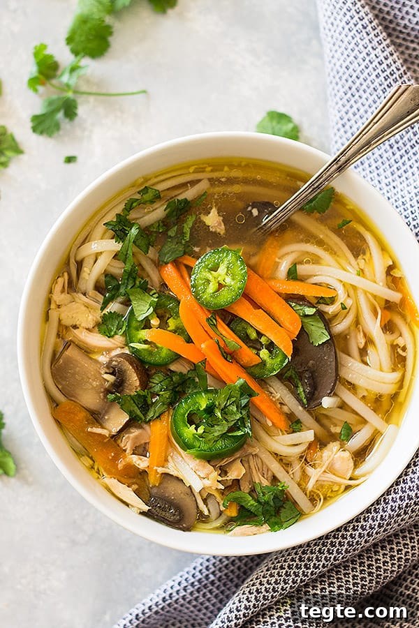Slow Cooker Asian Chicken Noodle Soup Recipe for Comforting Meals 3 chinese chicken noodle soup in a bowl