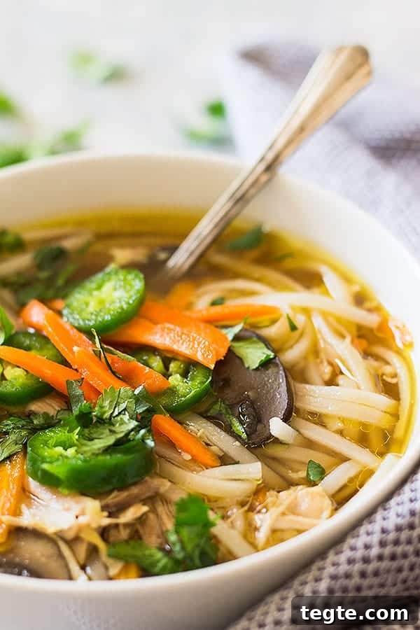 Slow Cooker Asian Chicken Noodle Soup Recipe for Comforting Meals 4 asian soup in a bowl with a spoon