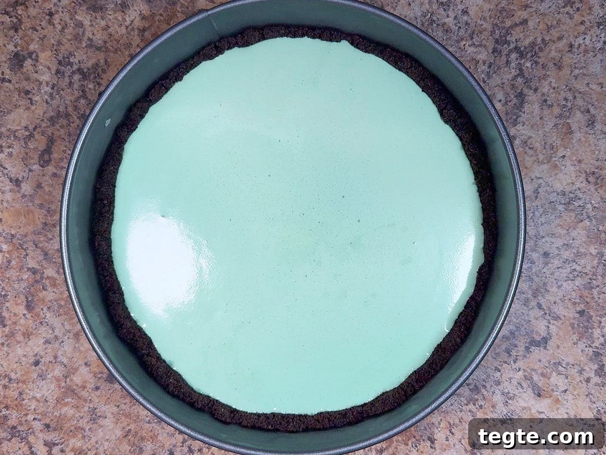 Classic Grasshopper Pie Recipe: Mint Chocolate Cream Pie 10 Mint filling poured into the chocolate cookie crust.