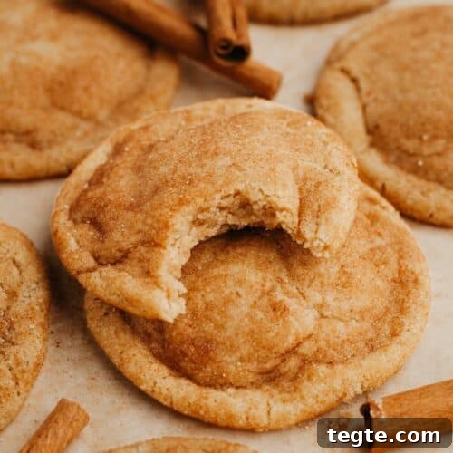 A close up of snickerdoodles, one has a bite taken out of it.