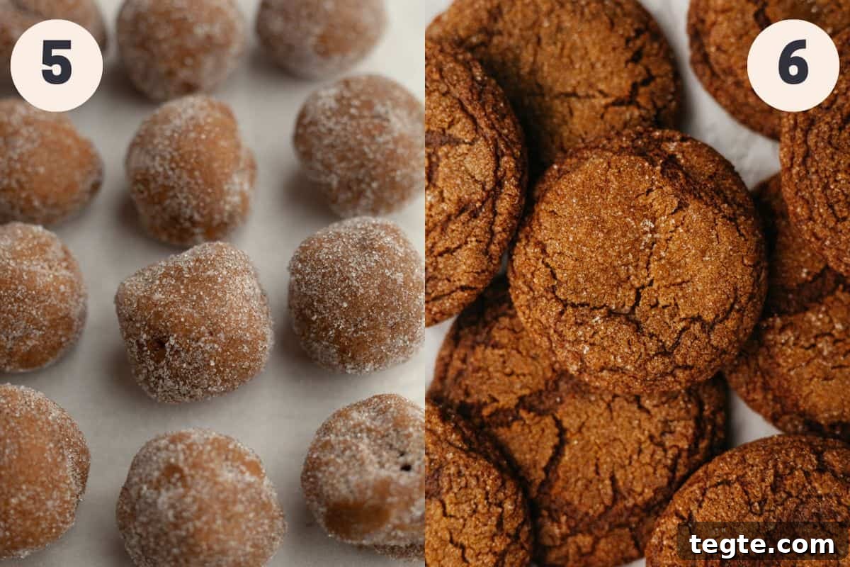 Steps 5 and 6 in the molasses crinkle cookie baking process.