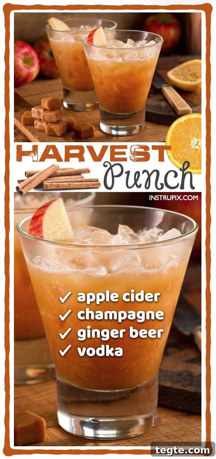 Autumn Party Punch Recipe: Festive Fall Drink for Gatherings 11 img 904 10