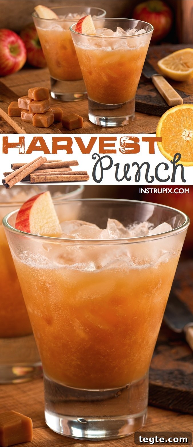 Autumn Party Punch Recipe: Festive Fall Drink for Gatherings 8 The BEST fall punch recipe for parties! This easy autumn alcoholic adult drink recipe is a hit for Halloween or Thanksgiving.