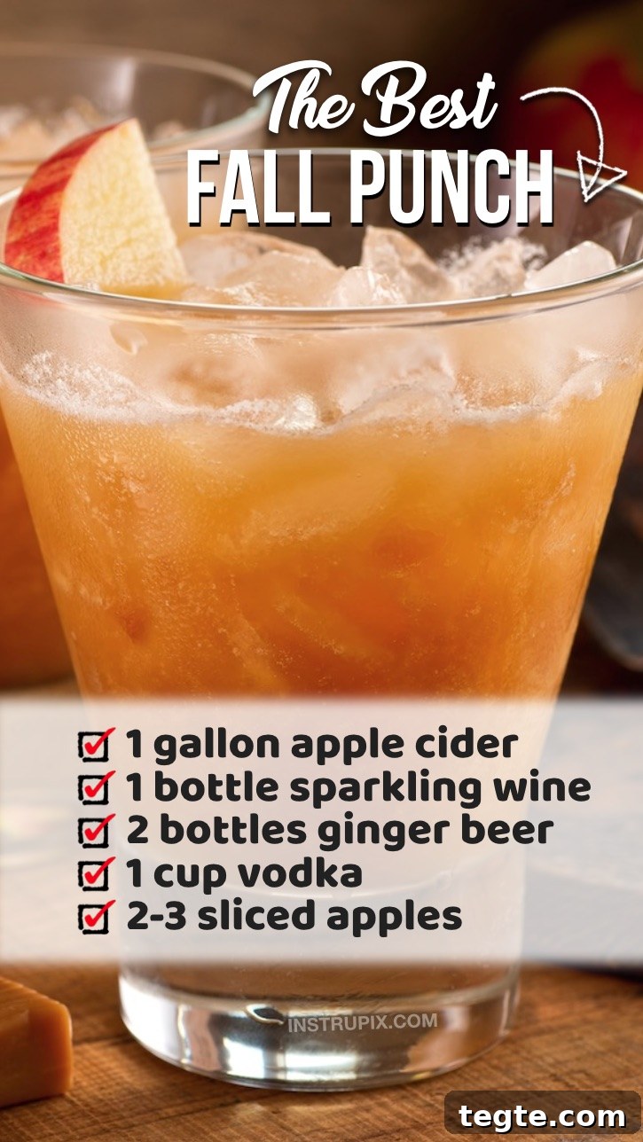 Autumn Party Punch Recipe: Festive Fall Drink for Gatherings 10 img 904 9