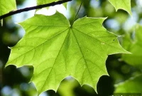 New Beginnings: Embrace Change and Start Anew