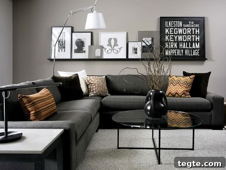 Black Couch in the Living Room: Stylish Advantages and Drawbacks 2 Pros of Placing a Black Couch in The Living Room