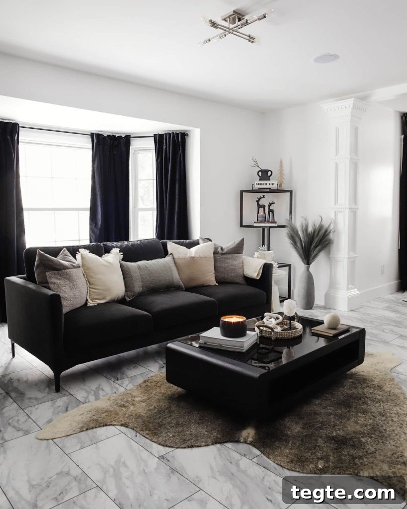 Black Couch in the Living Room: Stylish Advantages and Drawbacks 3 cons of Placing a Black Couch in The Living Room