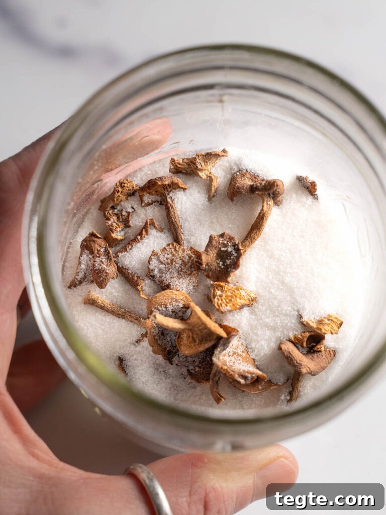 Candy Cap Mushroom Caramel Sauce Recipe 3 Candy cap mushroom sugar